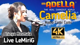 Download lagu CAMELIA_Tasya Rosmala_Om Adella_live Lemiring Wonosobo_22/10/2023 Video 4k mp3