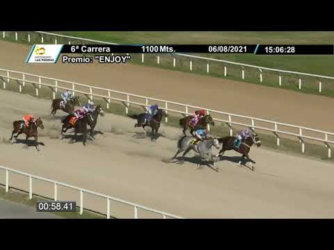 210806 c06 - SHADY -  HIPODROMO LAS PIEDRAS