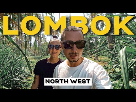 We Got Attacked By a Chicken in Lombok!