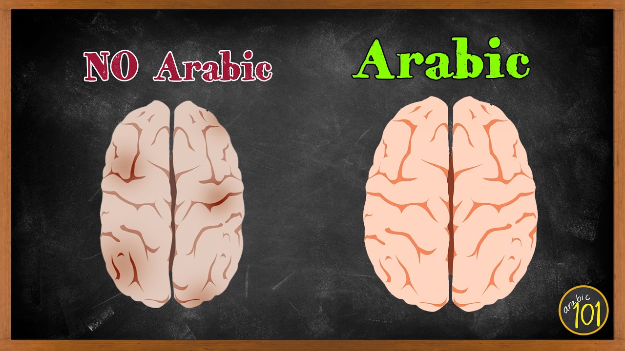 Scientists Scanned Arabic Speakers' Brains. Nobody Expected This | Arabic101