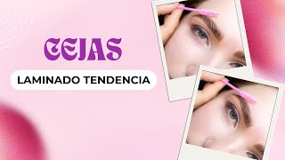 Laminado y Sombreado de Cejas: ¡Resultados Increíbles!