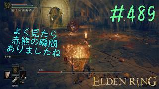 ♯489【今さら初見のELDEN RING】北の無名霊廟しっかりしなさい！　「赤熊……？　あんた、それ人間や」というツッコミすら入れる暇もなく、余った時間は影樹の化身とランデヴー