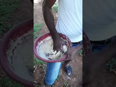 SOMEWHERE IN JAMAICA 🇯🇲