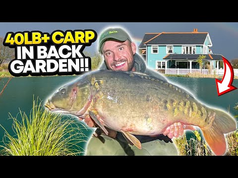 SUMMER CARP FISHING VLOG IN MY MATES BACK GARDEN!