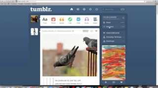 How To Get More Followers on Tumblr (40 A Day) (FAST)