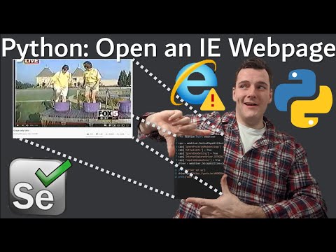 Python Selenium Webdriver Internet Explorer