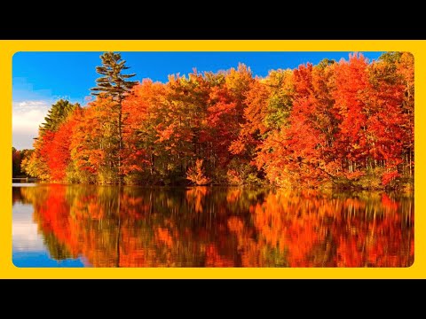 Beautiful Autumn Scenery Colors of Nature III 🍁🍂 Autumn Colors RELAXING MUSIC HD 1080P Screensaver
