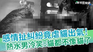 Re: [新聞] 情侶吵架竟用滾燙熱水虐貓 蘆洲警方協助