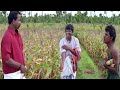 அது சரி உங்க வயலு உங்க கருது நீங்க வரல