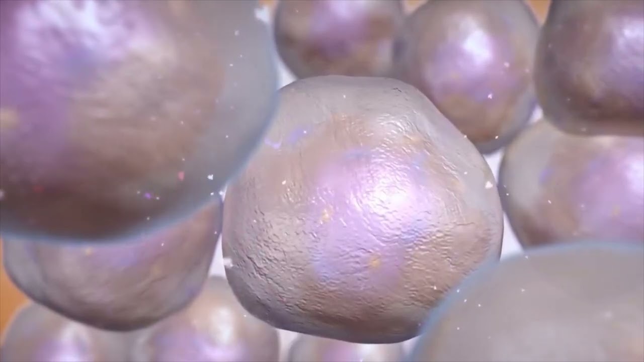 Científicos realizan un descubrimiento asombroso que puede cambiar nuestra comprensión del Cosmos!