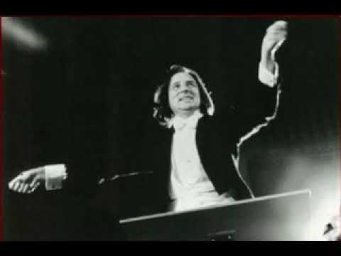 "La Cittadella" (per sole Stratocasters)