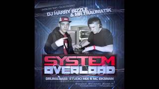 SYSTEM OVERLOAD - DJ HARRY BIZZLE & MR TRAUMATIK ft MC EKSMAN
