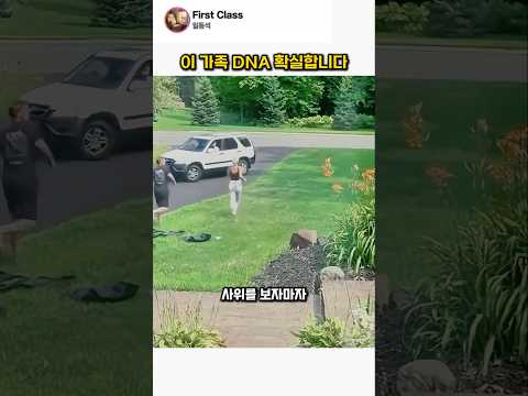 이 가족 DNA 확실합니다… 넘어지는 자세까지 똑같음