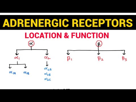 Autonomic Pharmacology - 13 | Adrenergic Receptors & their Distribution | EOMS