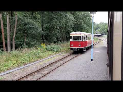 Harzer Schmalspurbahn 2020 / Die Selketalbahn (30.08.2020)