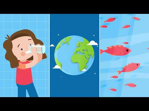 A importância do Oceano