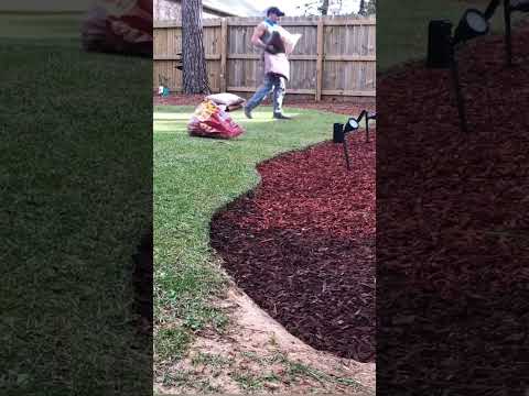 Installing RED MULCH And Complete Yard CLEANUP #lawncare #lawncarelife #shorts #landscaping #howto