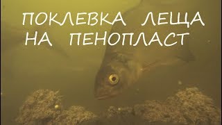 Ссылка