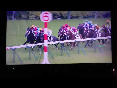 【第87回日本ダービー】優勝コントレイル2020.05.31