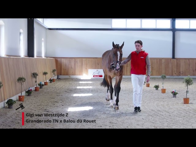 Gigi van Westzijde Z