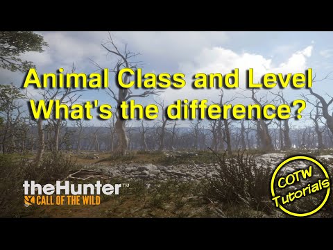 theHunter  Call of the Wild - Animal Class and Level, What is the Difference?