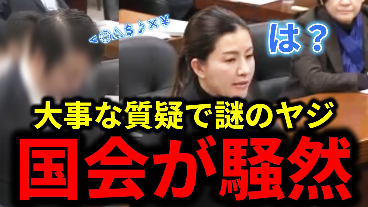 【参政党】とある議員から謎のヤジで国会騒然。選択的夫婦別姓制度の大事な質疑に何があったのか。
