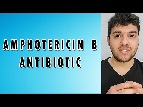 Amphotericin B Injection