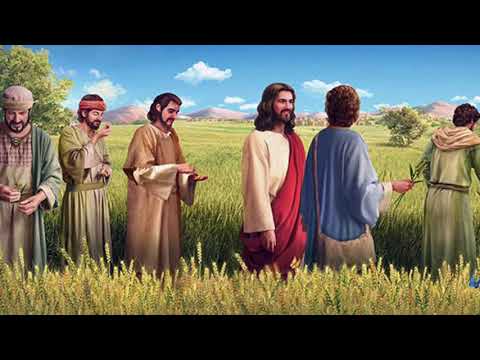 Odpocznijcie nieco-16 niedziela zwykła-Rok B - HD 1080p