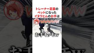 トレーナー葛葉のペットになったイヌラヒムのクセが強すぎるお手　VTuber#にじさんじ#雑学#豆知識