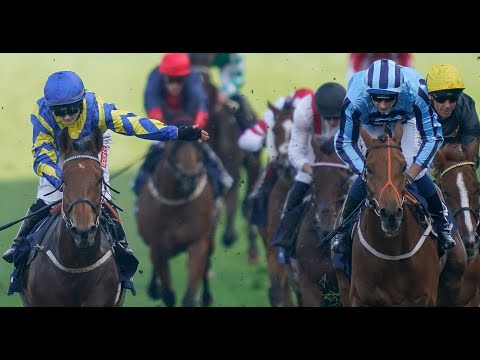 2021 Qipco British Champions Long Distance Cup G2 - Trueshan (真章) - H.Doyle