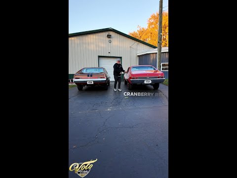 1968 AMC AMX (CC-2022222) for sale in Volo, Illinois