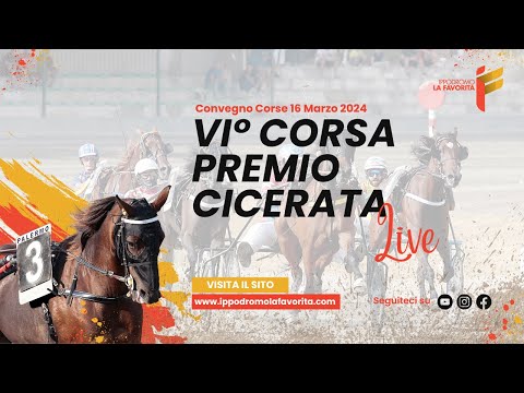 Live VI° Corsa del 16 Marzo 2024 - 5 Anni ed oltre - Metri 2000