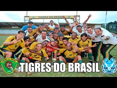 Tigres do Brasil - Pequenos Gigantes #4