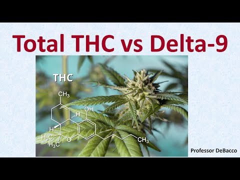 Total THC vs Delta 9