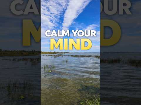 This Feels So Peaceful… Just Watch 🌊 #shorts