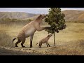 Evolution of Horses and their Relatives