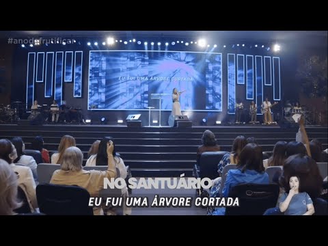 Árvore Cortada - No Santuário