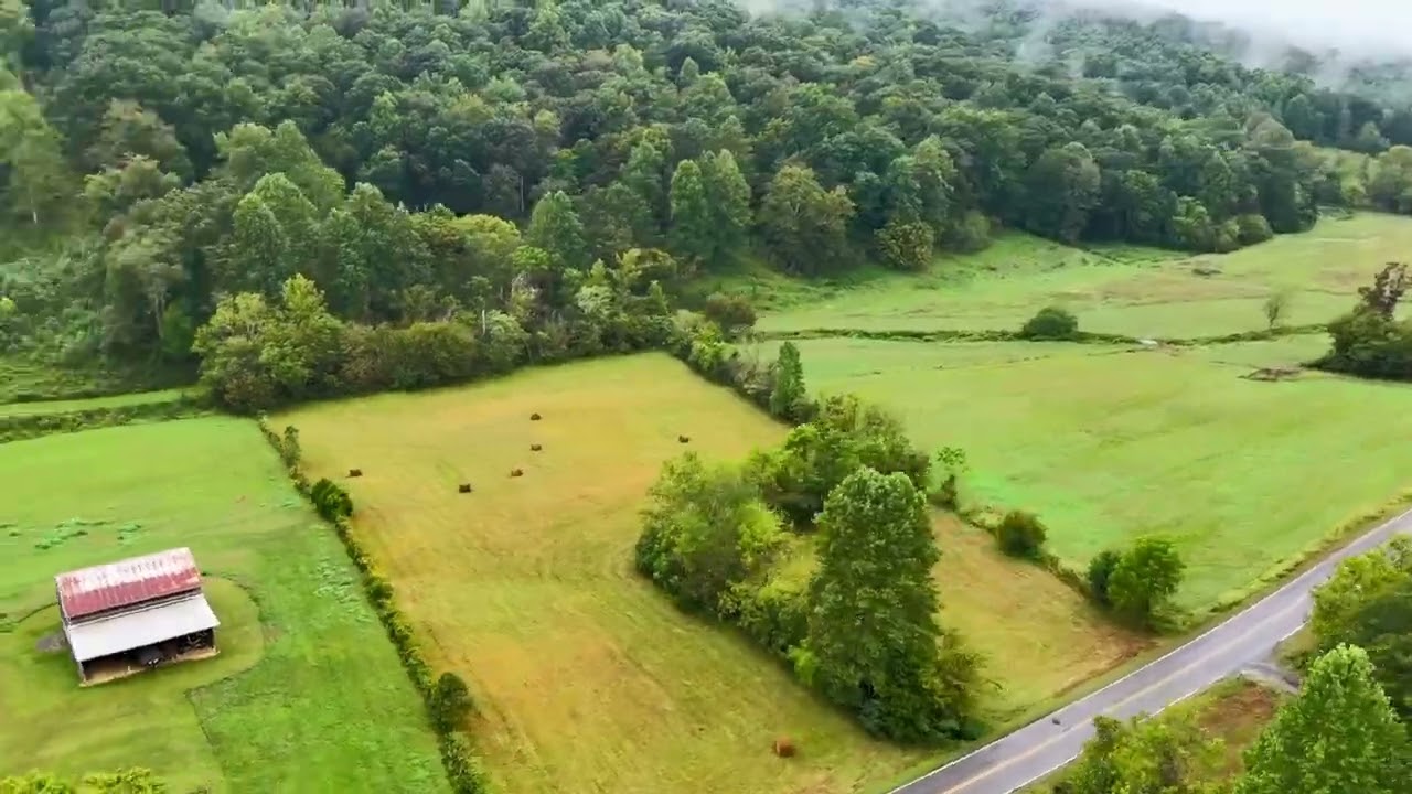42.5-acre homestead with year-round creek in Rogersville, Tennessee