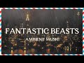 Fantastic Beasts Ambient Music | Raining in New York | Relaxing, Studying, Sleeping