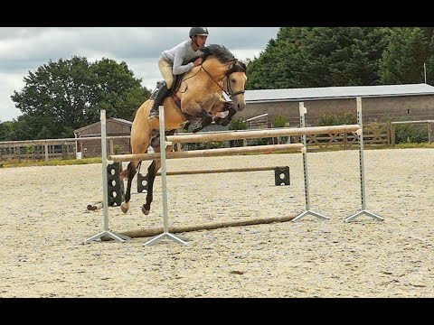 Séance de saut 15/07/2020 #2 - Azzarro