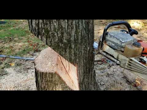 Sizwheel for side lean