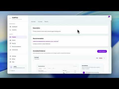 AuditFlow video preview