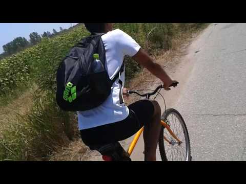 drumul pitoresc intre ciuperceni si poiana- judetul teleorman