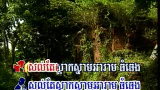 សម្រស់ទឹកឆា ច្រៀងដោយ ណូយ វ៉ាន់ណេត