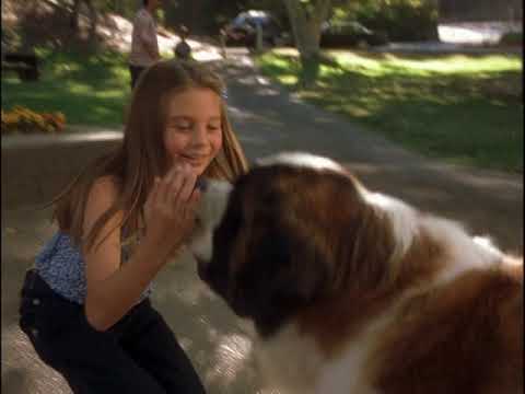 Beethoven's 4th trailer