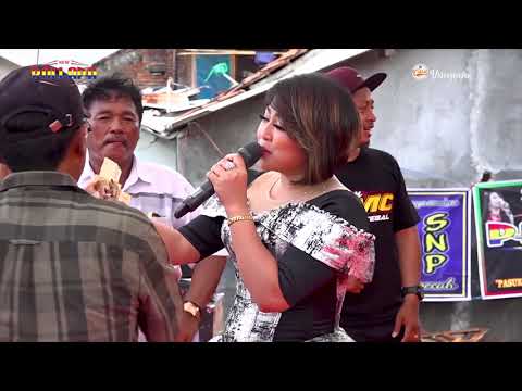 NEW PALLAPA Harapan Hampa - Wiwik Sagita Live Muarareja Tegal