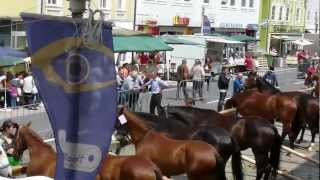 preview picture of video 'Pferdemarkt Schwanenstadt 2012'