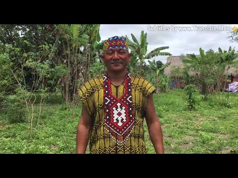 Huni Kuin Fundraiser - Video 2