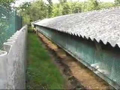 Pelzfarm Tierschutz tierschutz-videos