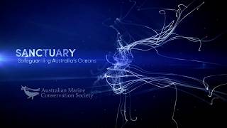 SANCTUARY - Safeguarding Australia's Oceans
